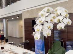 -天津波士信达奔驰4S店(卫津南路店)