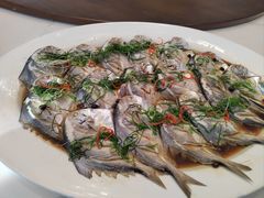 -紫丁香饭店-中餐厅