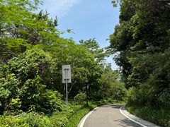 -玉树公园