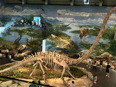-自贡恐龙博物馆