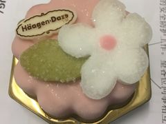 -哈根达斯(美罗城店)