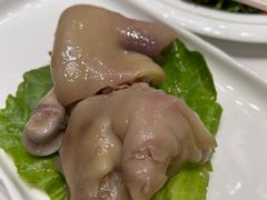 -丁老爷子苏香圆