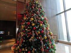 -嘉定凯悦·咖啡厅