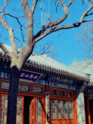 -颐和宾馆宴会厅