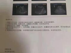 -瑞派·关忠动物医院·猫专科·犬专科(三环新城店)