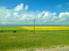 -青海湖国家重点风景名胜区