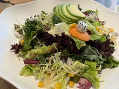 -连鹭海鲜·海肠捞饭·海胆饭(星海店)