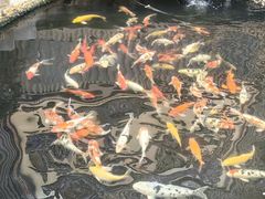 -小榄公饭店·岭南庭院餐厅(民安北路店)