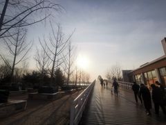 -大兴滨河森林公园