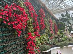 -石家庄市植物园