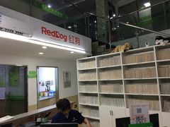 -爱侣宠医·鹦鹉专科·小型哺乳类·异宠专科(灵石路店)