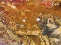 -唐力九头鸟烧烤·罗田吊锅(西云楼店)