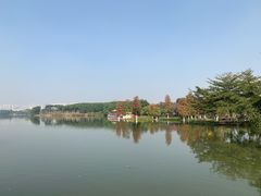 -海珠湖公园