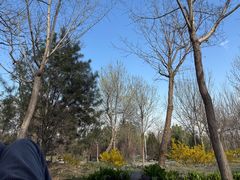 -阳台山自然风景区