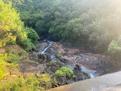 -广州白江湖森林公园