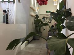-树夏(金楠天街店)