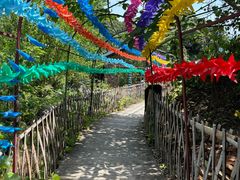 -仙岛湖旅游风景区