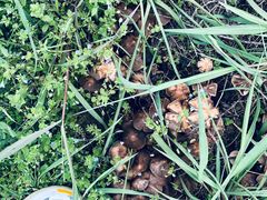 -盘龙城国家考古遗址公园