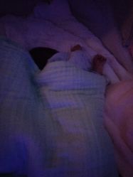 -弗蕾亚·和月月子调理院(东湖店)