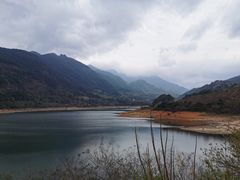 -广州市流溪河国家森林公园
