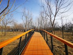 -东郊湿地公园
