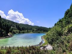 -武陵山森林公园