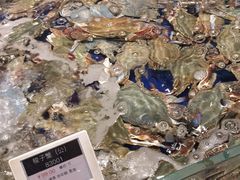 -高佳庄·舟山海鲜(海景旗舰店)