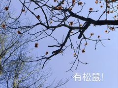 -中山公园