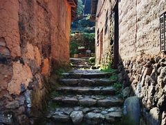 -杨家堂村