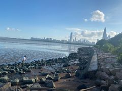 -深圳湾公园(南山区)