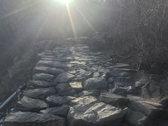 -北京鹫峰国家森林公园