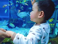 -海合安武汉极地海洋公园