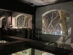 -穹六人间 people 6(岳阳路店)