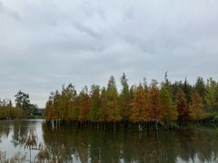 -白鹭湾湿地公园