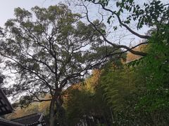 -岳麓山风景名胜区