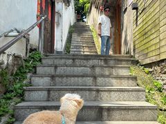 -树厨贵州菜(铜仁花果山店)