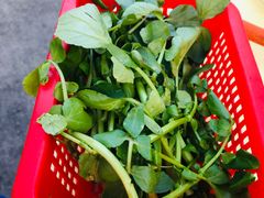 -老东风菜馆·潮汕大排档