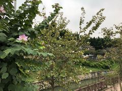 -广东外语外贸大学(白云山校区)