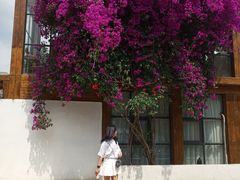 -三圣花乡旅游区