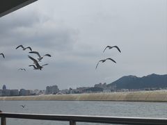 -刘公岛景区