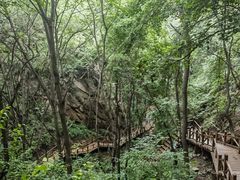 -大岭沟猕猴桃谷风景区