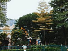 -史努比缤纷世界