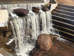 -五营红松林海景区