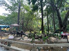 -广州长隆飞鸟乐园