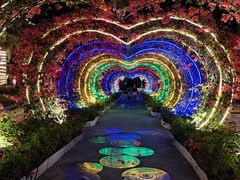 -三亚海昌梦幻海洋不夜城