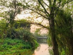 -白鹭湾湿地公园