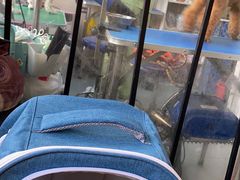 -芭比堂动物医院·心脏专科·夜诊·吉雅分院