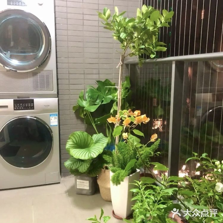 这样常见的两室户型还带阳台花园,真的很不错,准备入住了