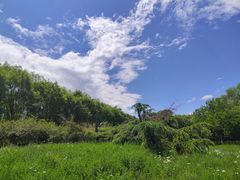 -大兴滨河森林公园