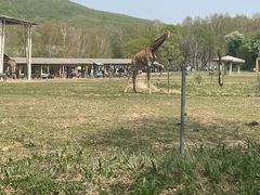 -哈尔滨北方森林动物园